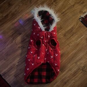 Dog Hooded Jacket with White Accents